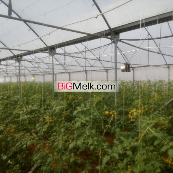 فروش اقساطی گلخانه