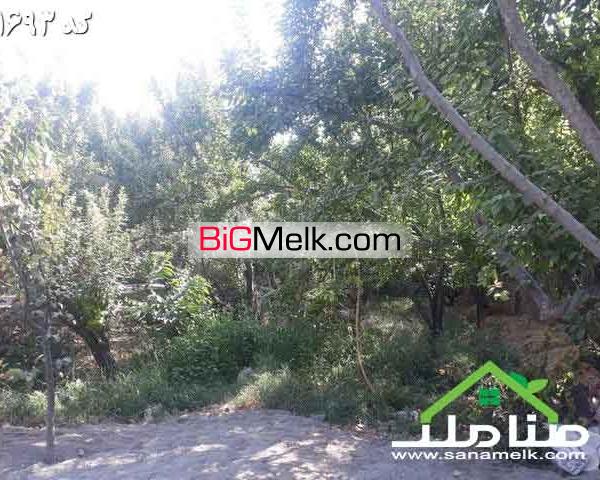 فروش باغ ویلا با بنای قدیمی در کردزار کد 1693