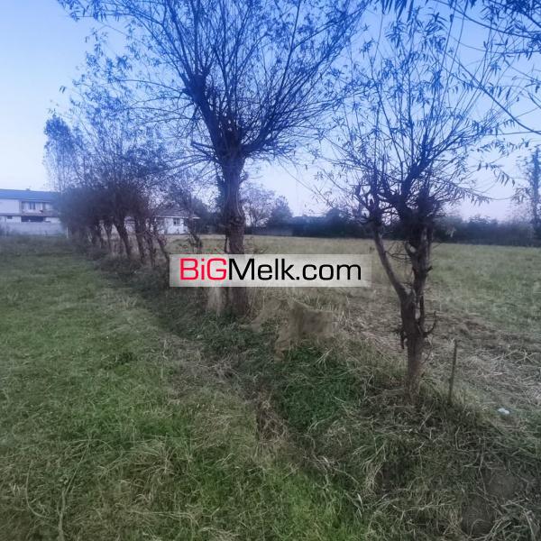 ۷۰۰ متر زمین در شاندرمن زیبا (کارگزاری نسل نو)