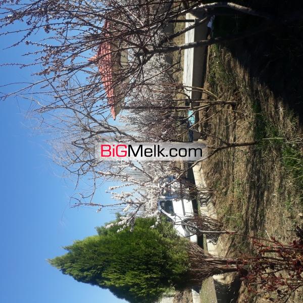 فروش باغ ۱۰۰۰ متری