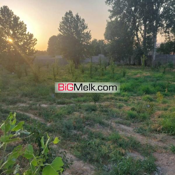 باغچه چهاردیواری به متراژ ۷۰۰ متر دارای درخت و آب سهمیه