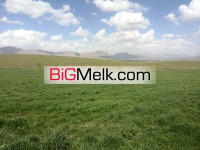 یک سوم کل روستا(60 هکتار)زمین کشاورزی و باغ