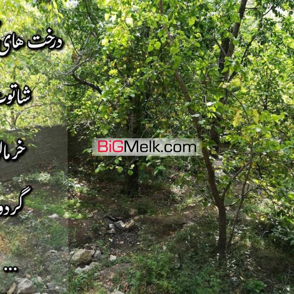 باغ در سولقان