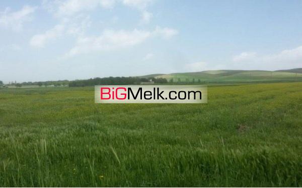 21هکتار زمین و باغ کشاورزی و کاربری صنعتی فروشی یا معاوضه