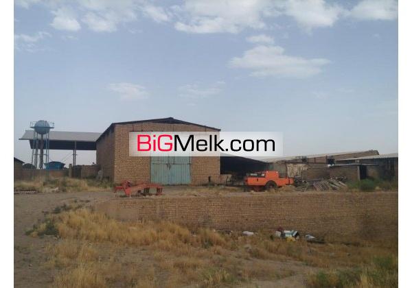 گاوداری 400 راسی شیری نظرآباد فروشی