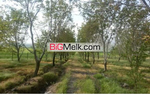 21هکتار زمین و باغ کشاورزی و کاربری صنعتی فروشی یا معاوضه