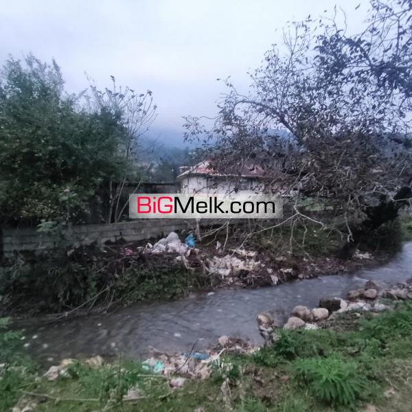 فروش ۳۰۰۰ متر زمین در شاندرمن زیبا (کارگزاری نسل نو)