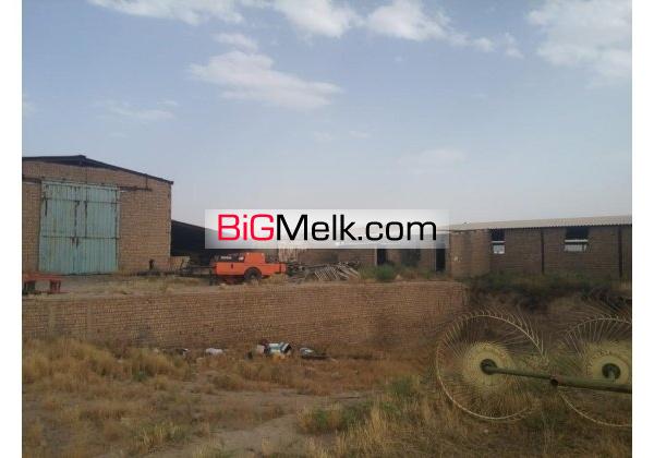 گاوداری 400 راسی شیری نظرآباد فروشی