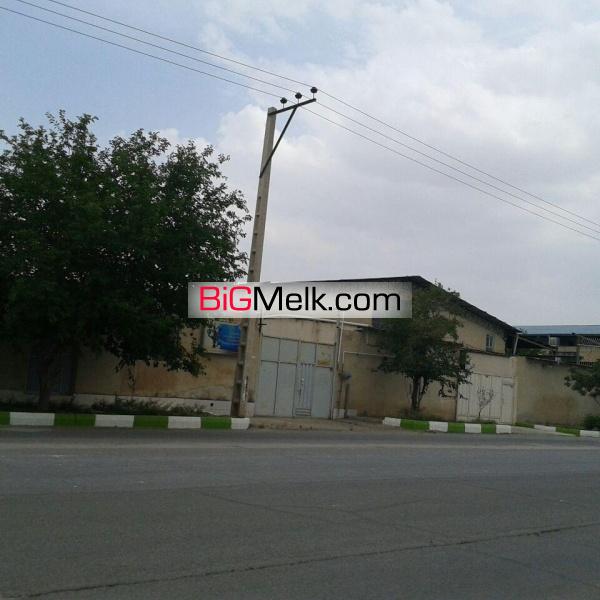 فروش کارخانه دی کلسیم فسفات مکمل خوراک دام و طیور