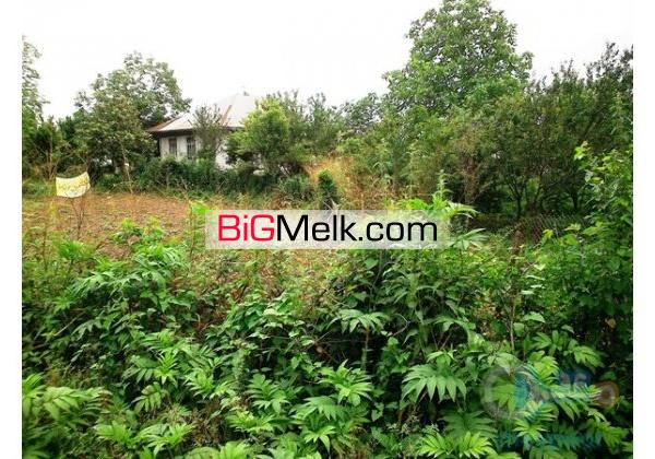 فروش زمین 600 متری در طاهر گوراب برای ساخت ویلا
