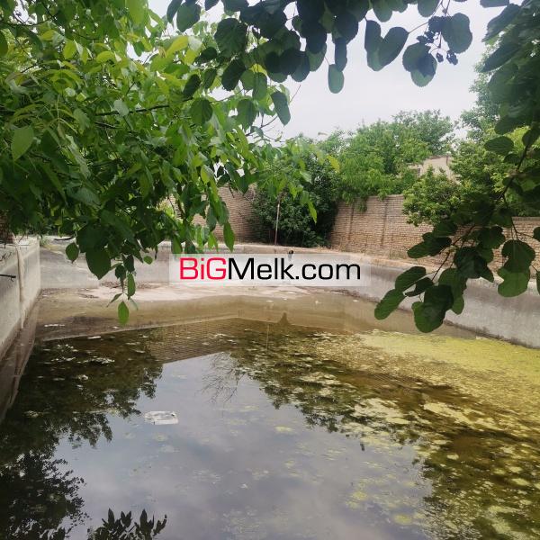 زمین 600 متر در مشهد