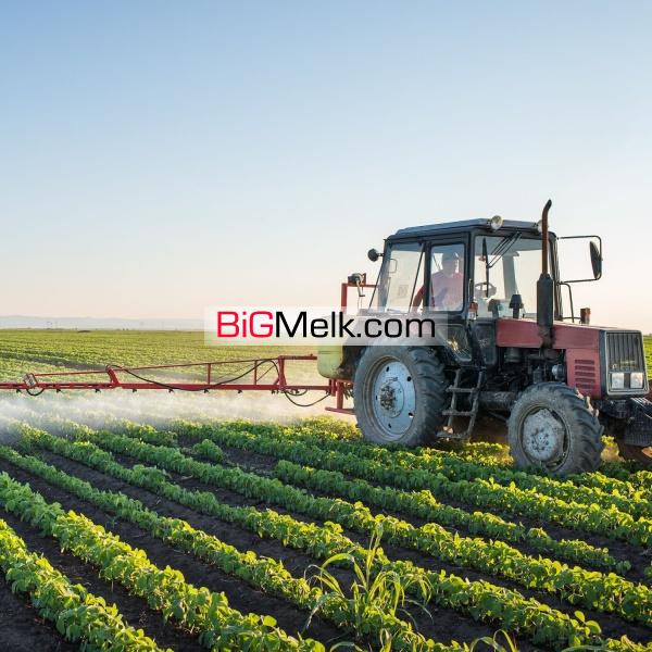 ۲۸۰ هکتار زمین کشاورزی