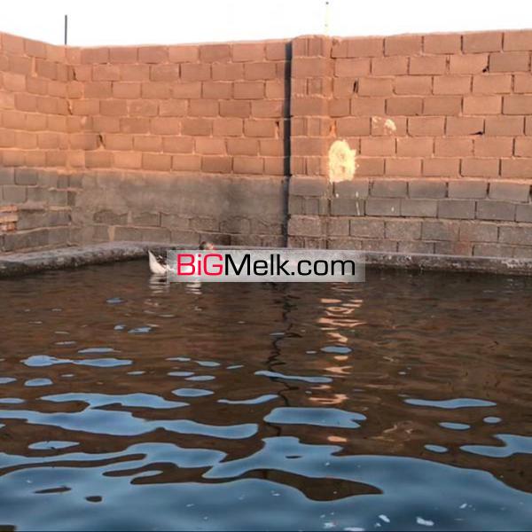 فروش باغ پسته