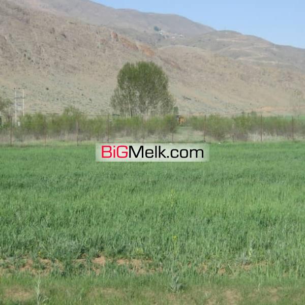 12 هکتار زمین کشاورزی فروشی  در نوشهر