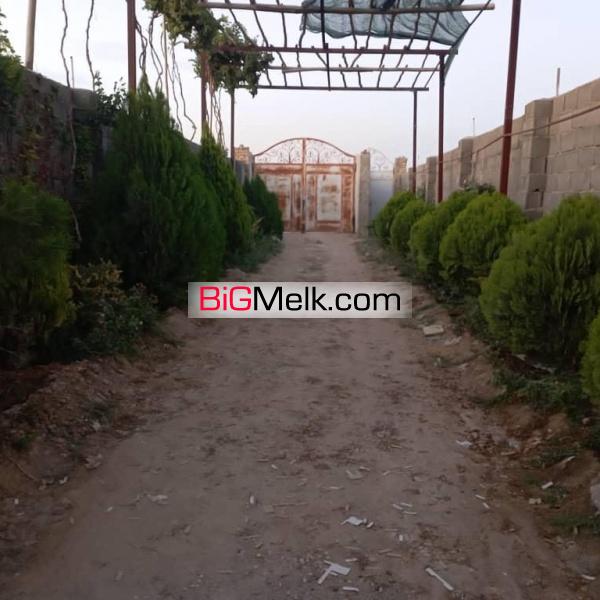 فروش باغ پسته