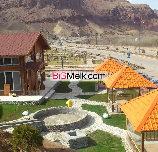 کافه شایلی