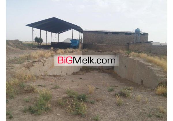 گاوداری 400 راسی شیری نظرآباد فروشی