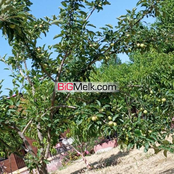 یک هتکار و 110 متر مربع باغ در کرج ( نظر آباد )