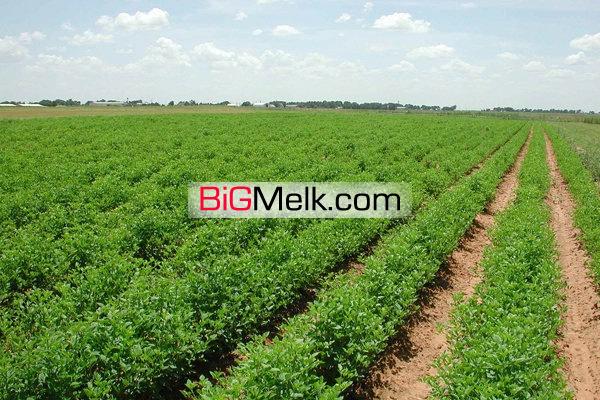 ملک مناسب شهرک توریستی