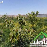 خرید و فروش زمین در ویلادشت ملارد کد 1569